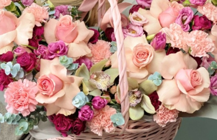 eustoma