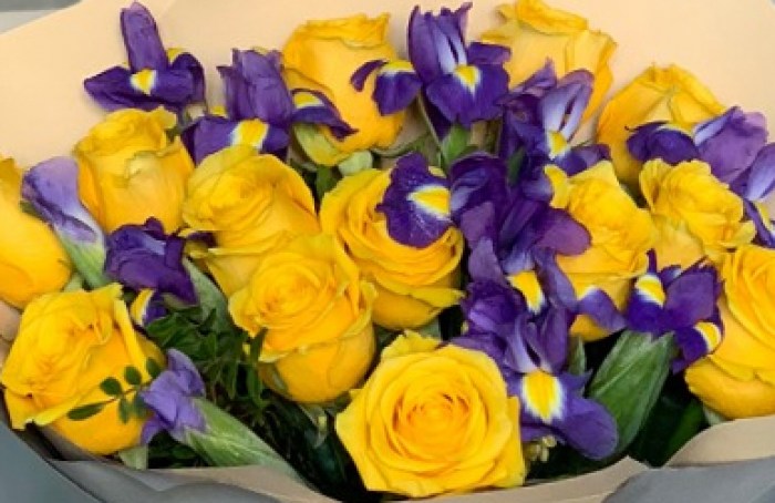 irisy