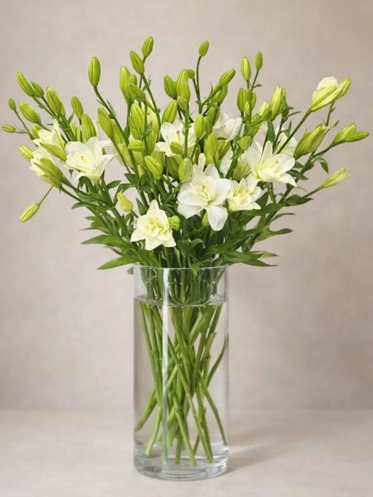 lilij-aziya